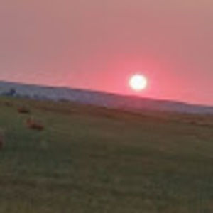 Meet your Posher, Del